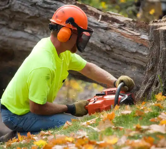 tree services Ellsworth